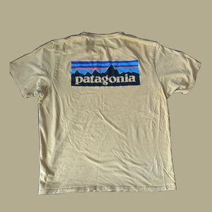 Patagonia Tee